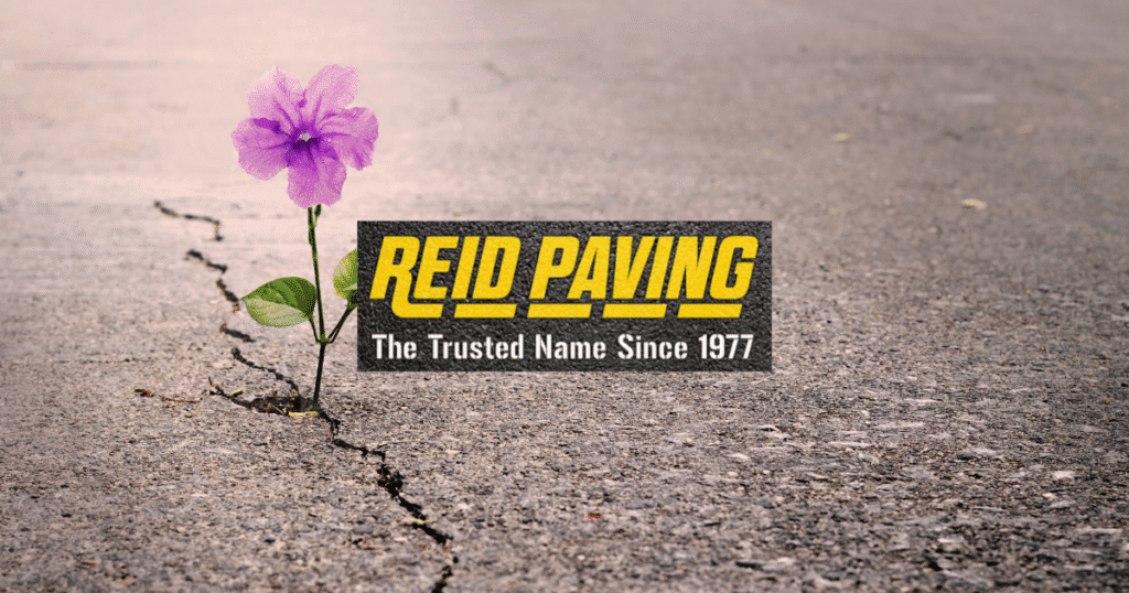 Spring Asphalt Crack Sealing